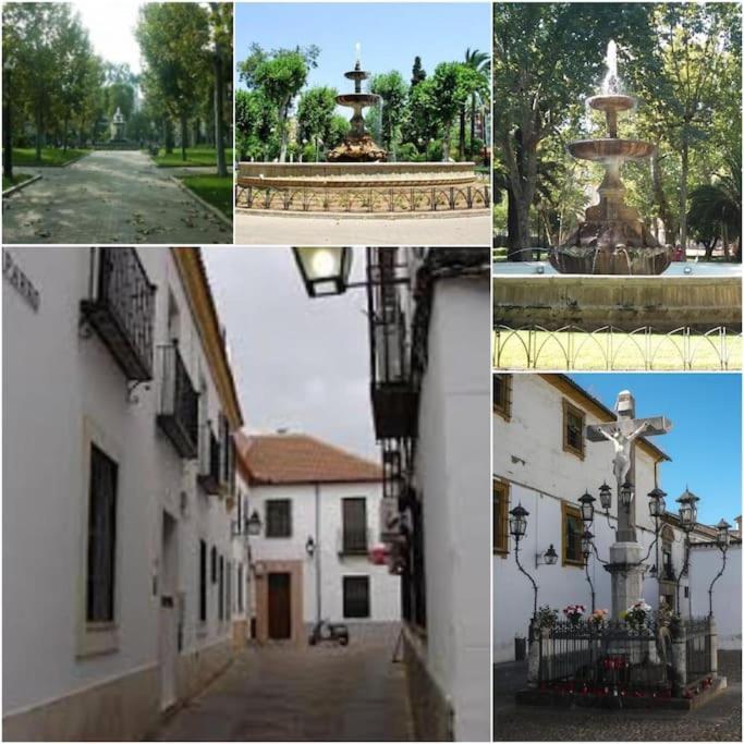 Apartamento Centrico En El Casco Historico De Cordoba Dış mekan fotoğraf