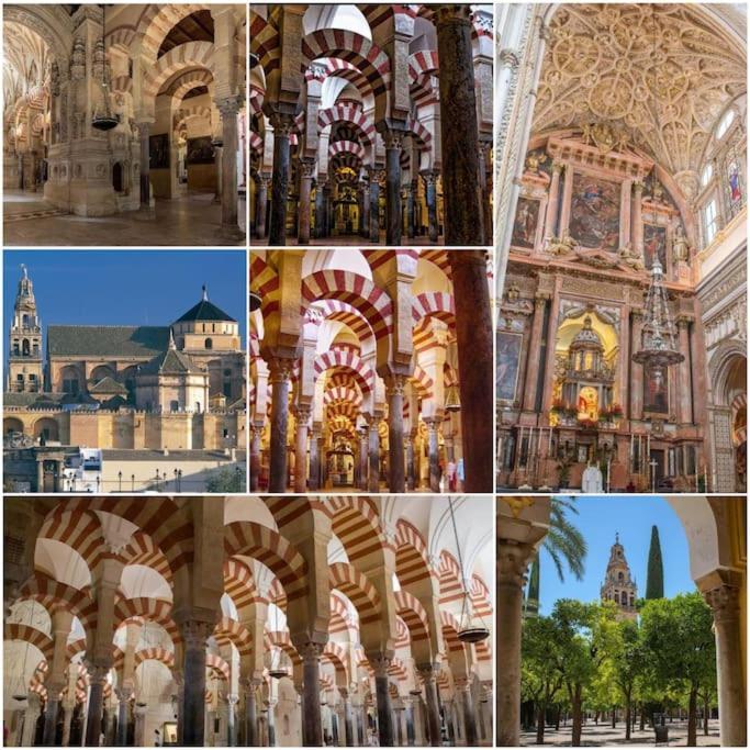 Apartamento Centrico En El Casco Historico De Cordoba Dış mekan fotoğraf